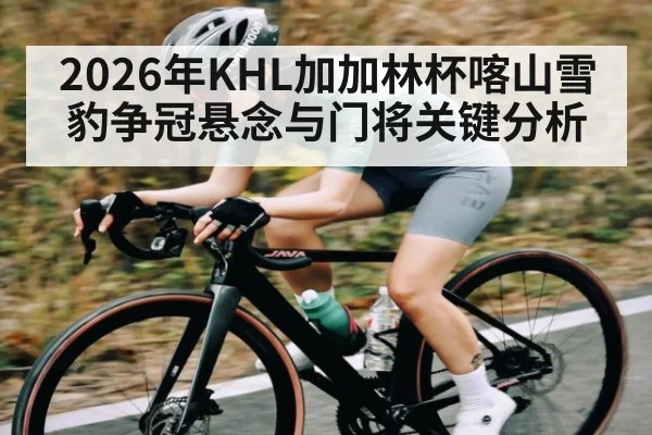 2026年KHL加加林杯喀山雪豹争冠悬念与门将关键分析 | hth